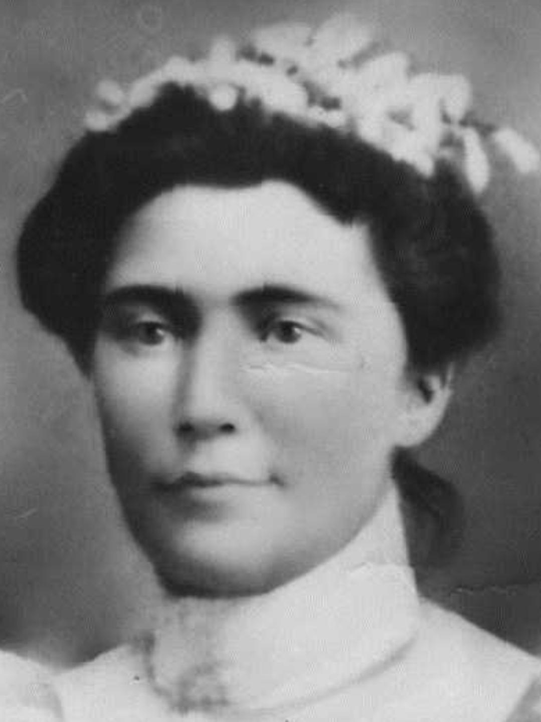 Mary Ann Goff (1856 - 1918) Profile